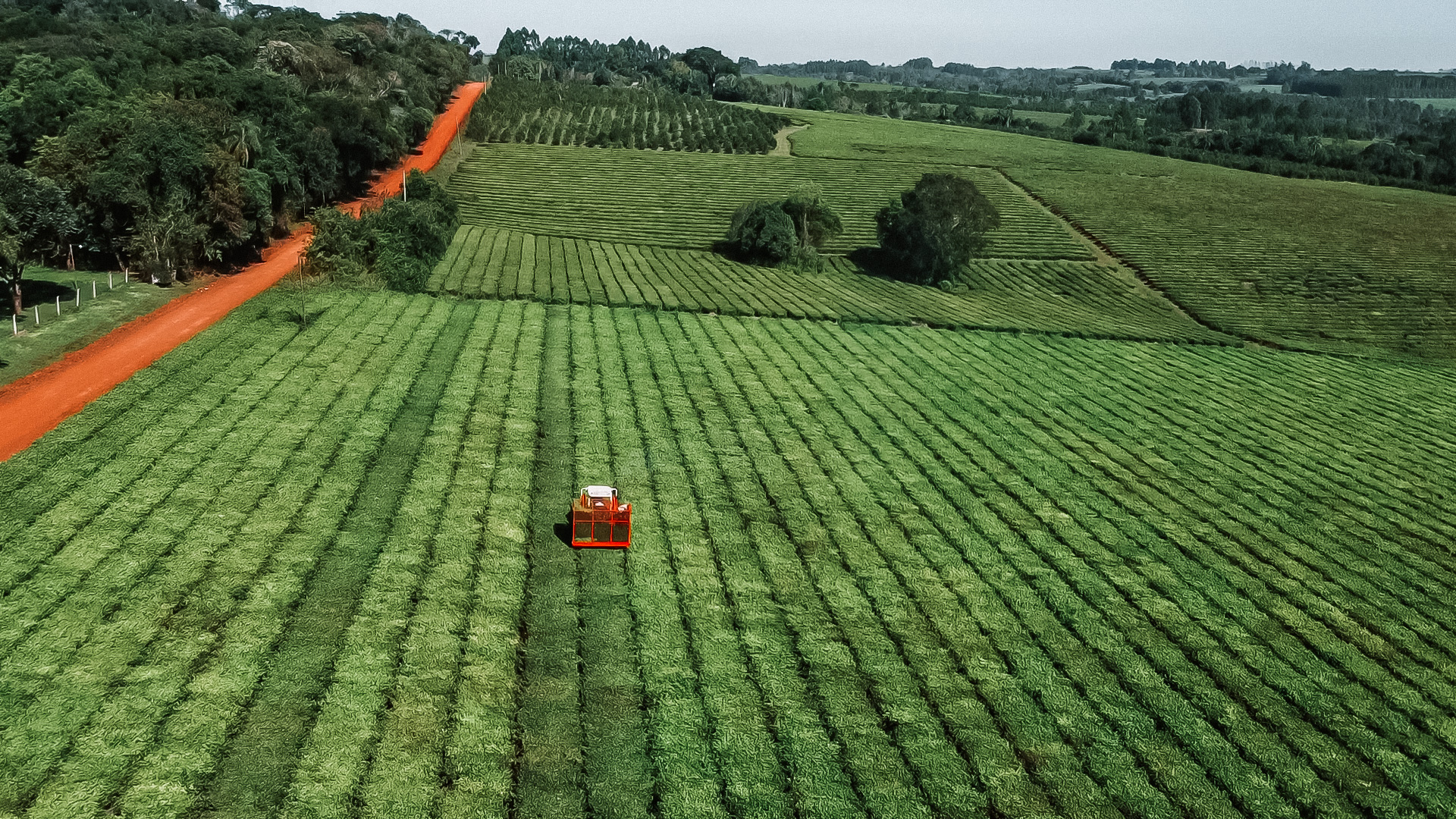 Dron-7