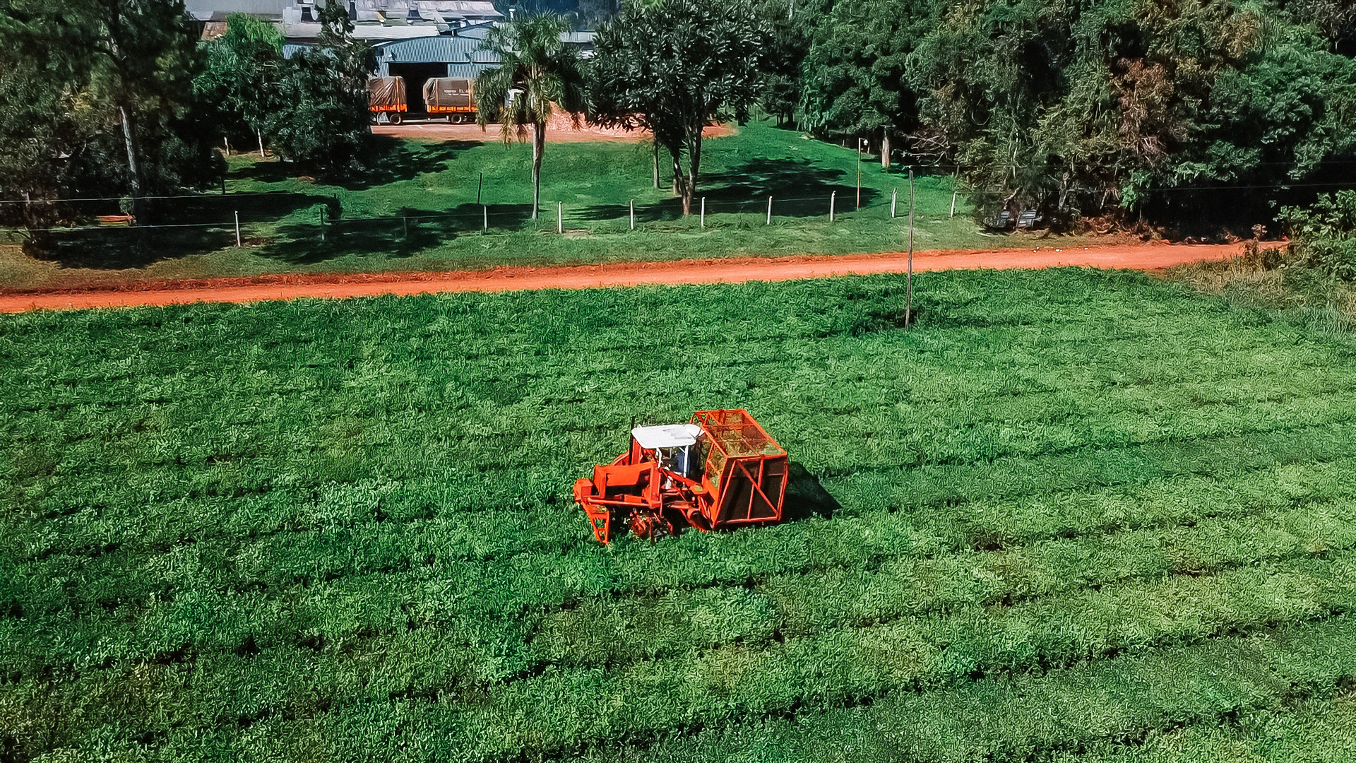 Dron-8