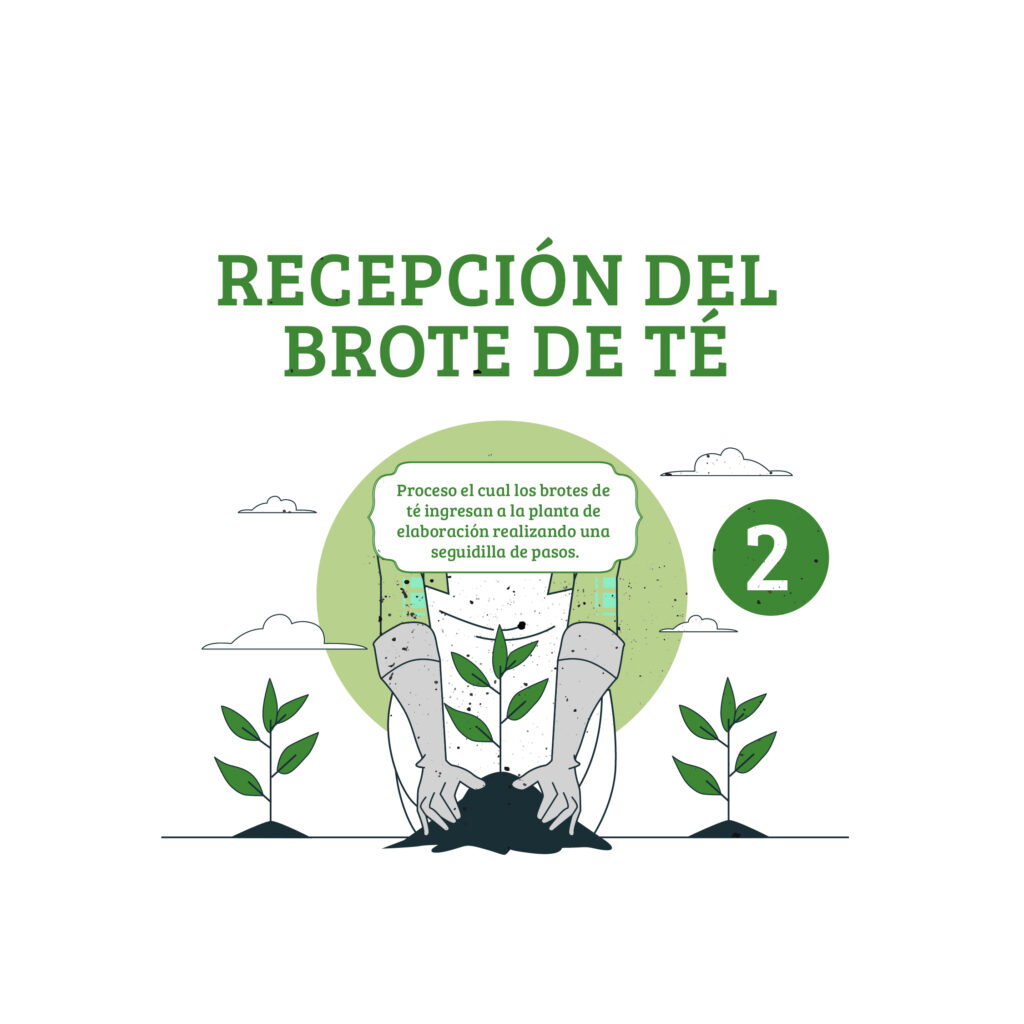 proceso del te-02
