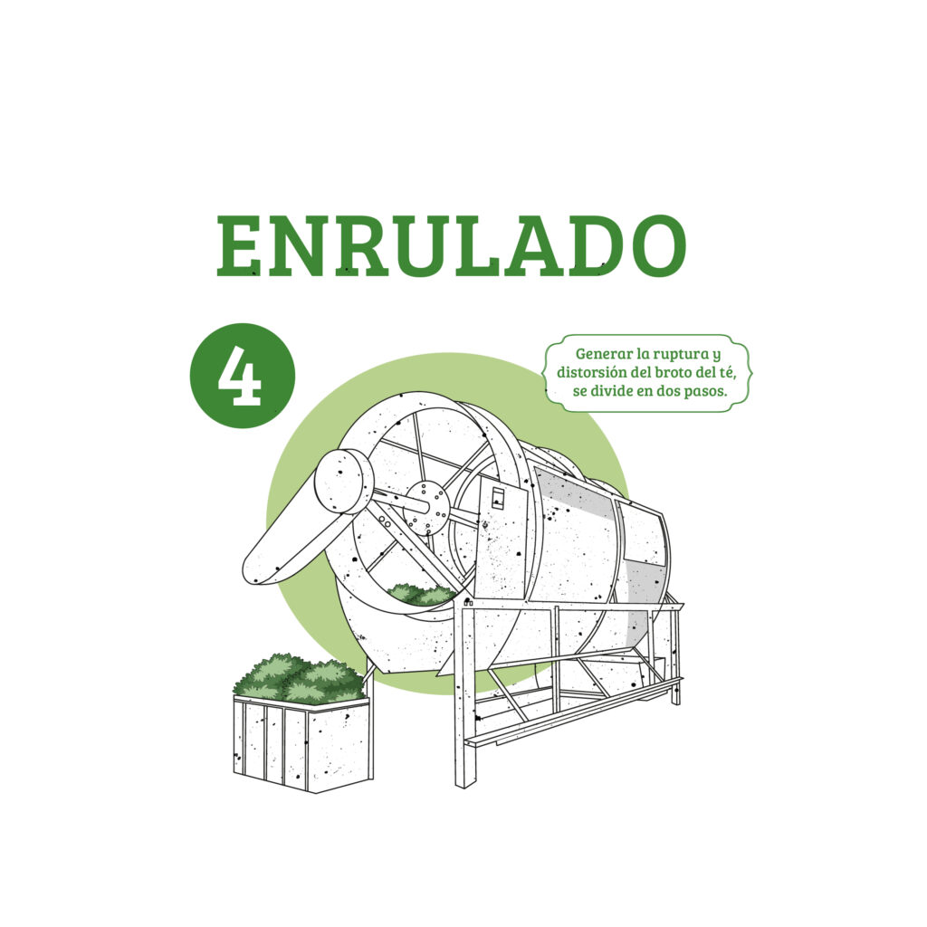 proceso del te-04