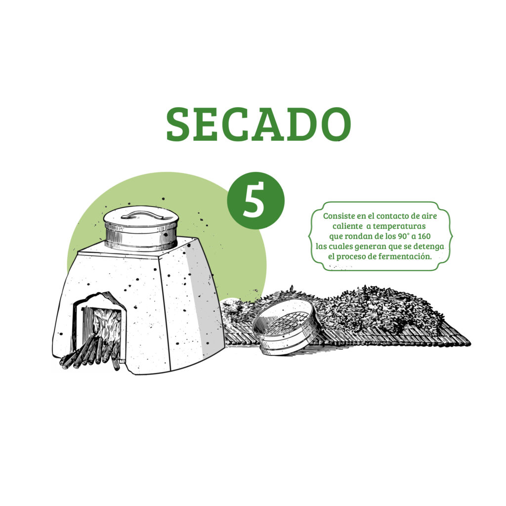 proceso del te-05