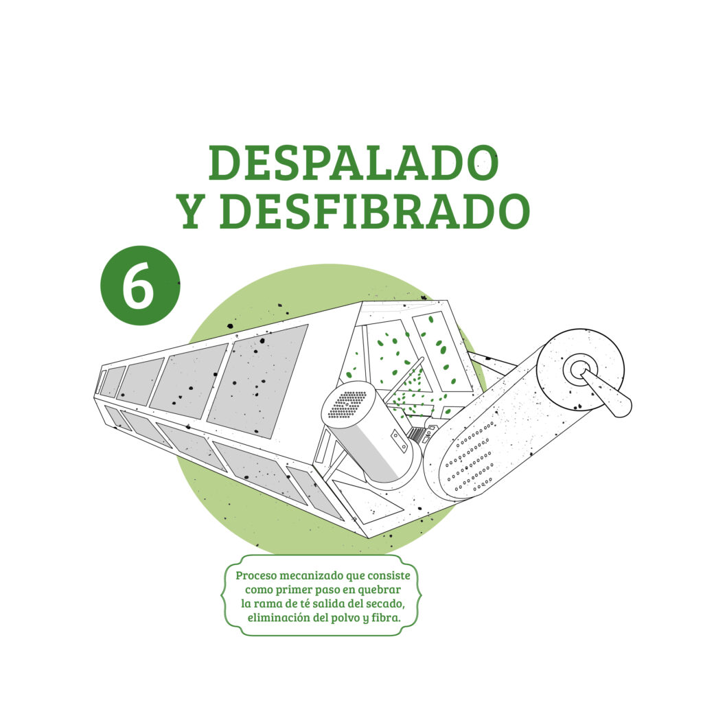 proceso del te-06