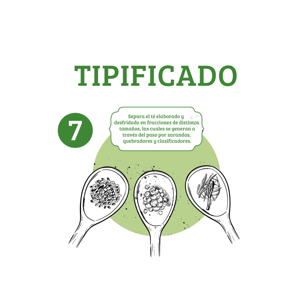 proceso del te-07